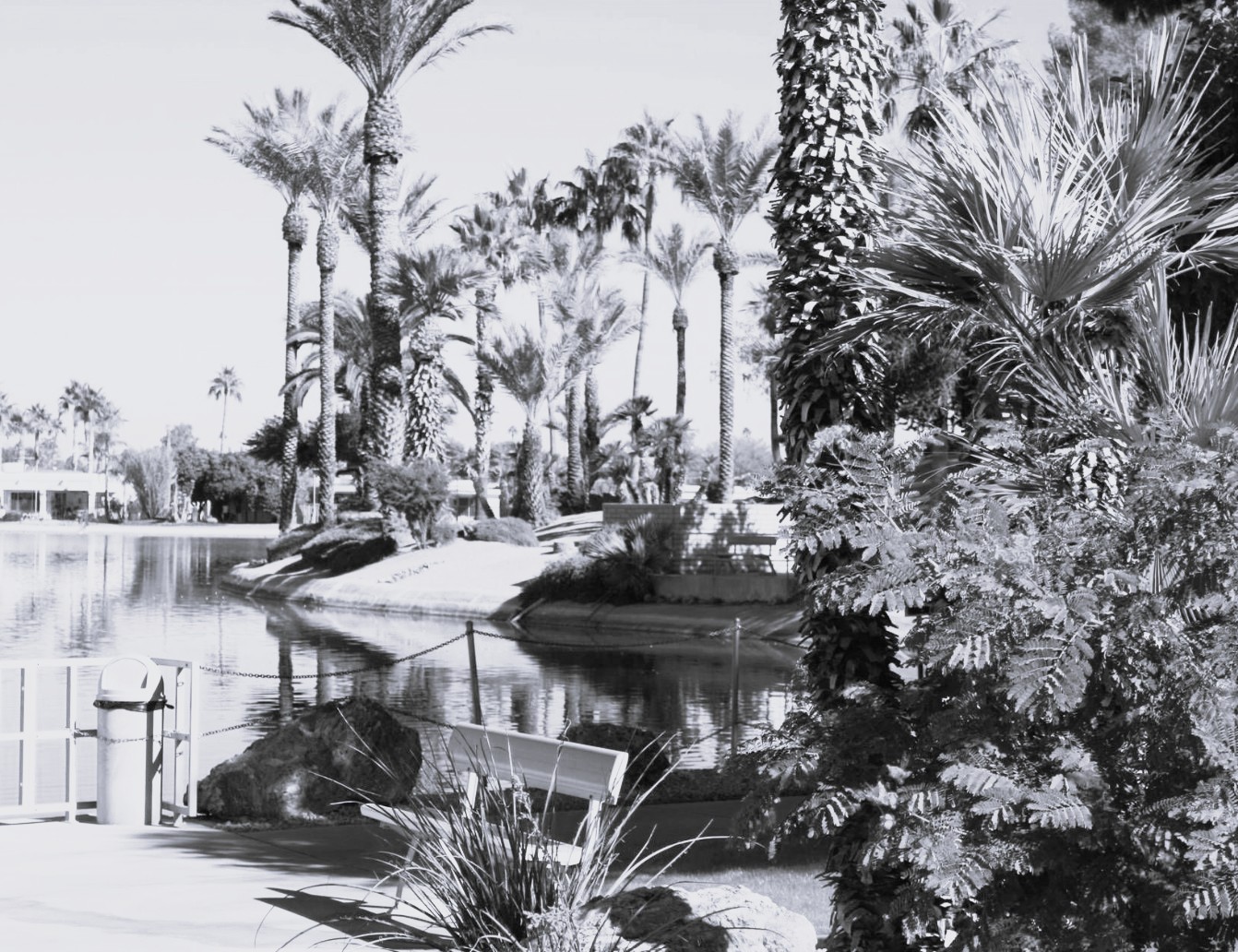 Managed IT Services in Sun City, AZ