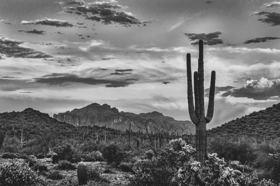 Managed IT Services in Peoria, AZ